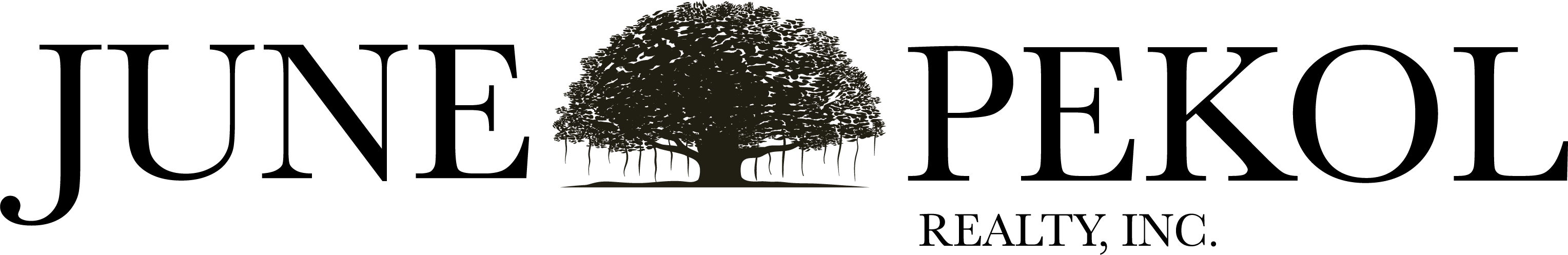 June Pekol Realtor logo